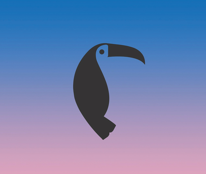 Toucan Logo